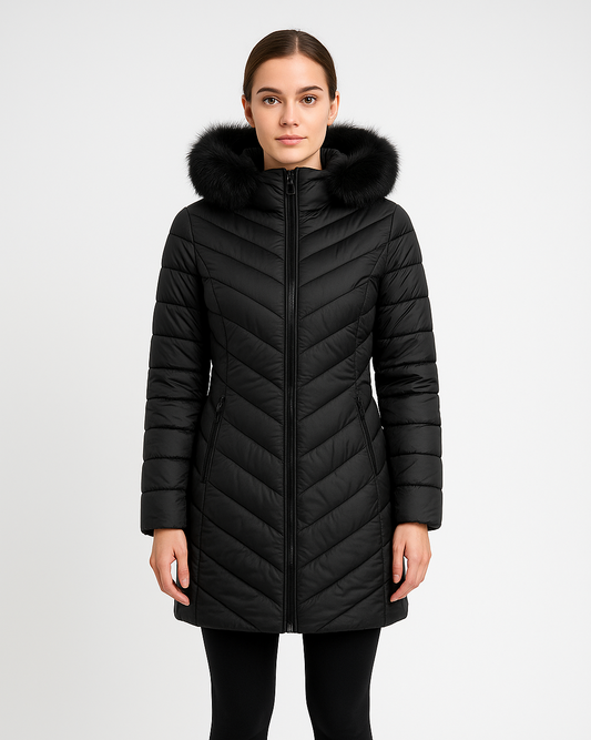 Winter Jacket